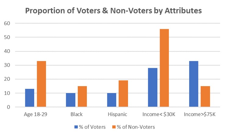 Voter Attributes